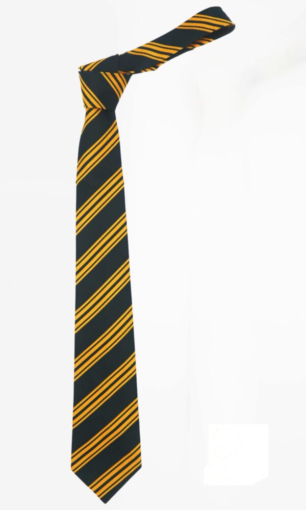 APS Uniform Tie