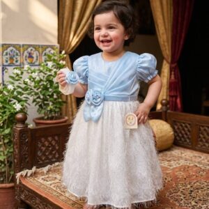 Girls Frock Fancy